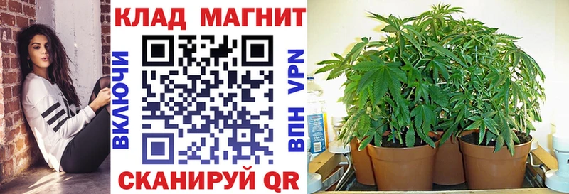 Магазины продажи наркотиков Новочеркасск ГАШ  Альфа ПВП  гидра ТОР  Конопля  Кокаин  МЕФ 
