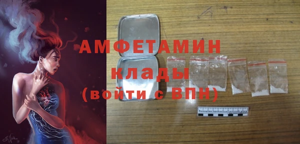 дурь Ельня