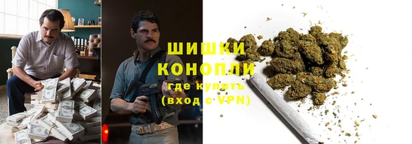 дурь Ельня