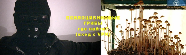 spice Елизово