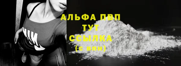 spice Елизово