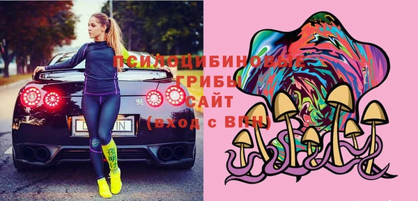 дурь Ельня
