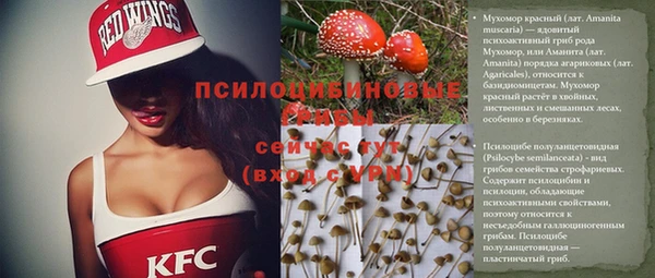дурь Ельня