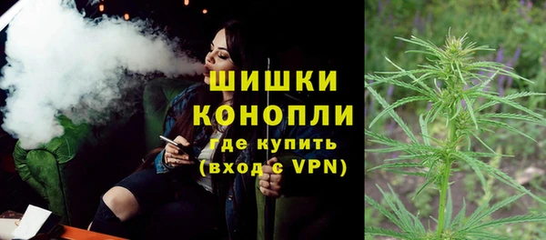 дурь Ельня