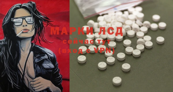 spice Елизово