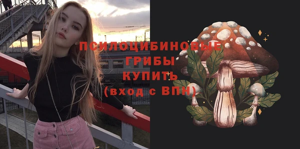 бутират Елабуга