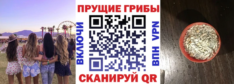 Галлюциногенные грибы мицелий  Новочеркасск 